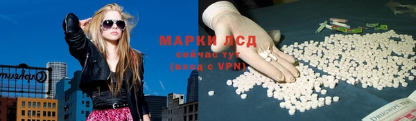 ГАЛЛЮЦИНОГЕННЫЕ ГРИБЫ Заводоуковск