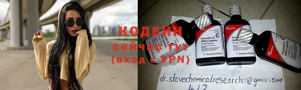 ГАЛЛЮЦИНОГЕННЫЕ ГРИБЫ Заводоуковск