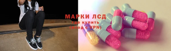 ГАЛЛЮЦИНОГЕННЫЕ ГРИБЫ Заводоуковск
