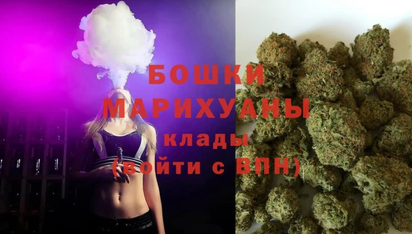ГАЛЛЮЦИНОГЕННЫЕ ГРИБЫ Заводоуковск