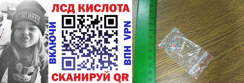 Купить закладки  Заринск  Наркотические марки 1,8мг 